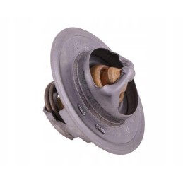 Termostatas 83913835 Ford Polmo