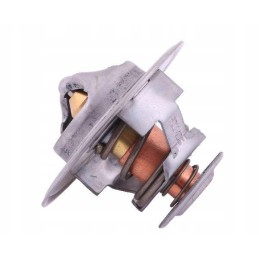 Termostato 98463637 korpusas Polmo