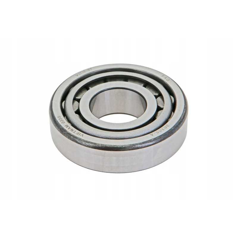 30305a 1 eilės kūginis ritininis guolis