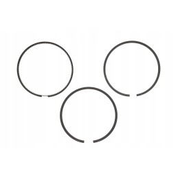 Stūmoklio žiedai 100x2 5x2 5x4mm claas mf