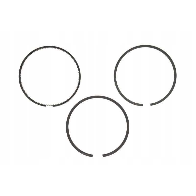 Stūmoklio žiedai 100x2 5x2 5x4mm claas mf