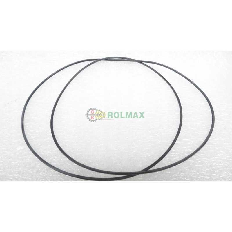 Žiedas arba žiedas massey ferguson 3010029x1