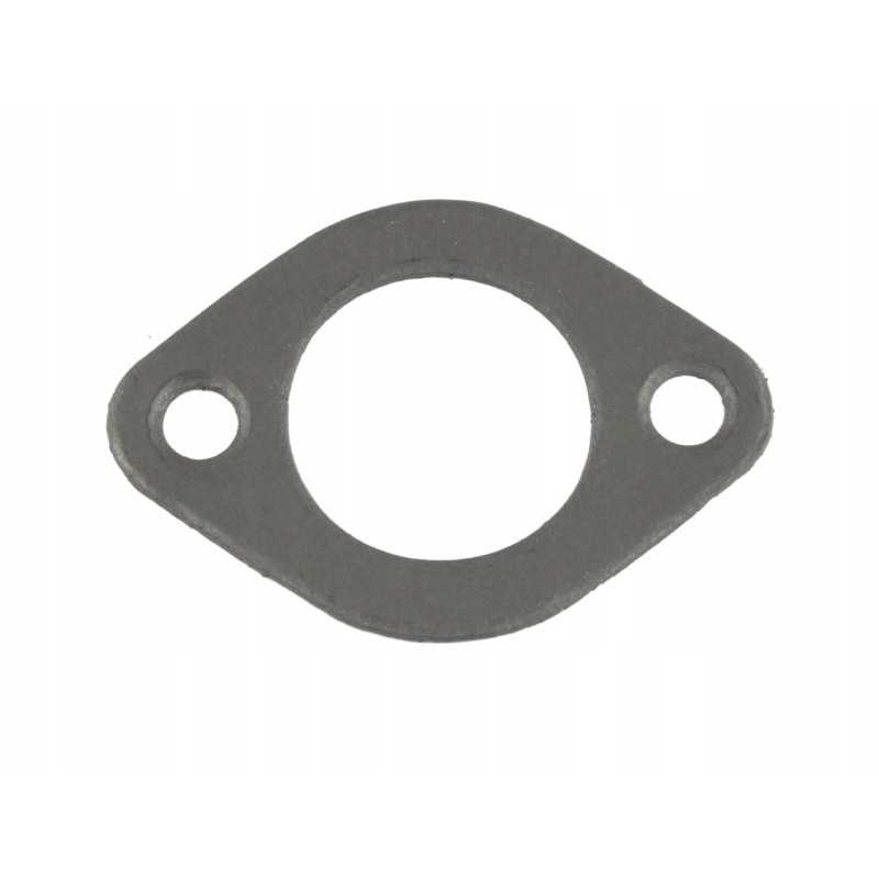 Mažas vandens siurblio tarpiklis mtz 501307049