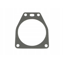 Įpurškimo siurblio tarpinė 501006315