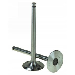 Siurbimo vožtuvas mf 3 360 3p perkins 3 152 ush97 thm