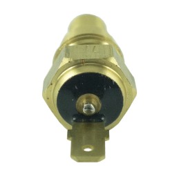 Vandens temperatūros jutiklis LS Tractor Trg750