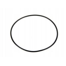 Kėlimo stūmoklio žiedas 99x3mm korpusas 3057615r1