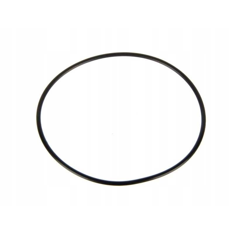 Kėlimo stūmoklio žiedas 99x3mm korpusas 3057615r1