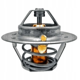 Termostatas Renault 54mm 6005022968