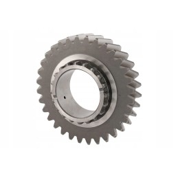 26900080121185 antra pavara ursus c 385