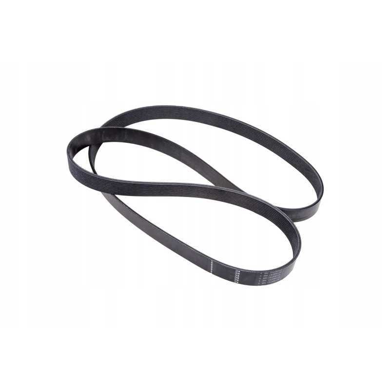 F954200040010 V formos diržas