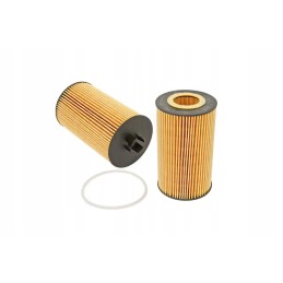 F836200510080 variklio alyvos filtras