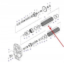F824100360180 sankabos krepšelio diskas