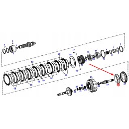 F824100100120 diskinė spyruoklė