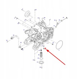 F718301020410 išleidimo kamštis m30 x 1 5