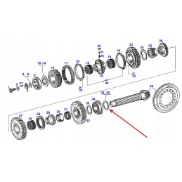 Poveržlės vietos nustatymas