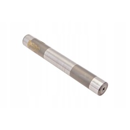 F180100010201 diferencialo kaištis