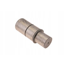 F119300020200 kaištis