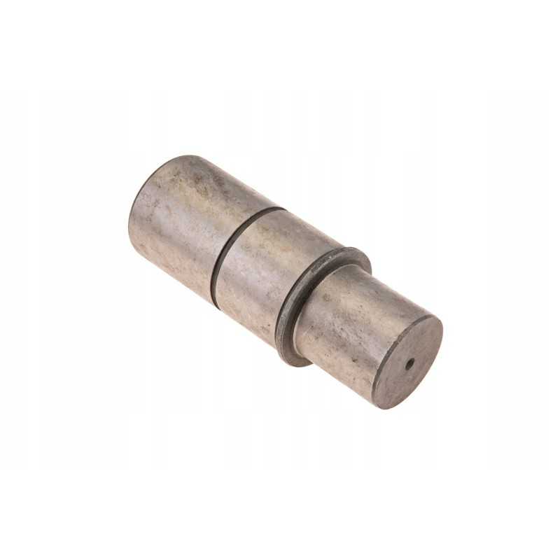 F119300020200 kaištis