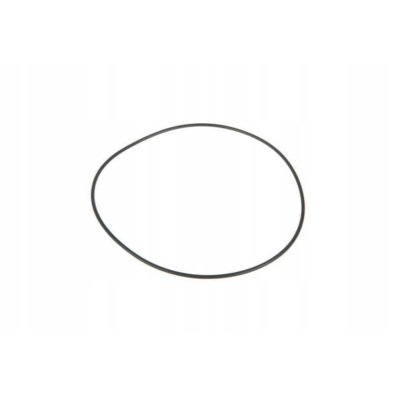 F119200310200 smagračio žiedas 110 x 2