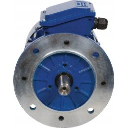 Elektros variklis 2 2 kW