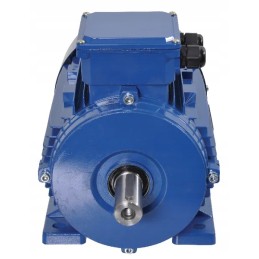 Elektros variklis 1 5 kW