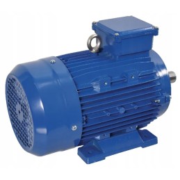 Elektros variklis 1 5 kW