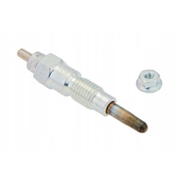 Y1021j liepsnos lemputė užsidega