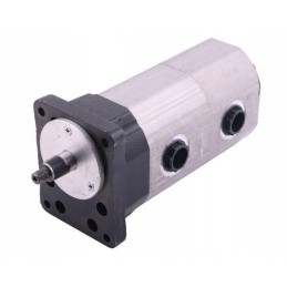 Dvigubas kairiojo hidraulinio siurblio bizon rekordas