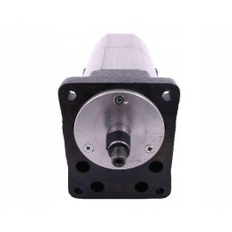 Dvigubas kairiojo hidraulinio siurblio bizon rekordas