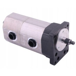 Dvigubas kairiojo hidraulinio siurblio bizon rekordas