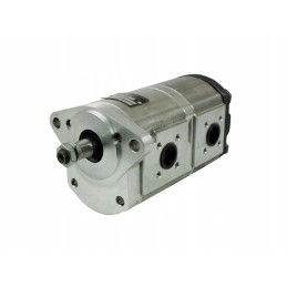 Dvigubas hidraulinis siurblys Renault 0510565323 600