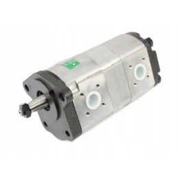 Dvigubas hidraulinis siurblys Renault 0510565323