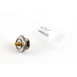 Zetor termostatas originalus 70011316