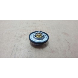 Termostatas pronar 320am 320amk mitsubishi