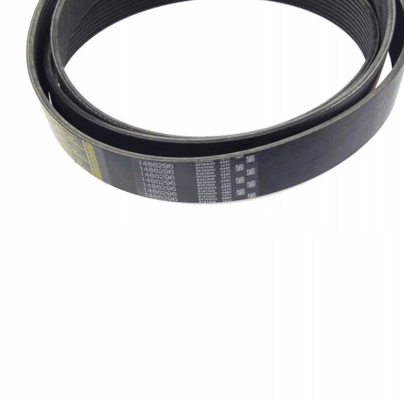 Ferndt 1486296 Gates V formos diržas