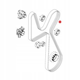 Ferndt 1486296 Gates V formos diržas