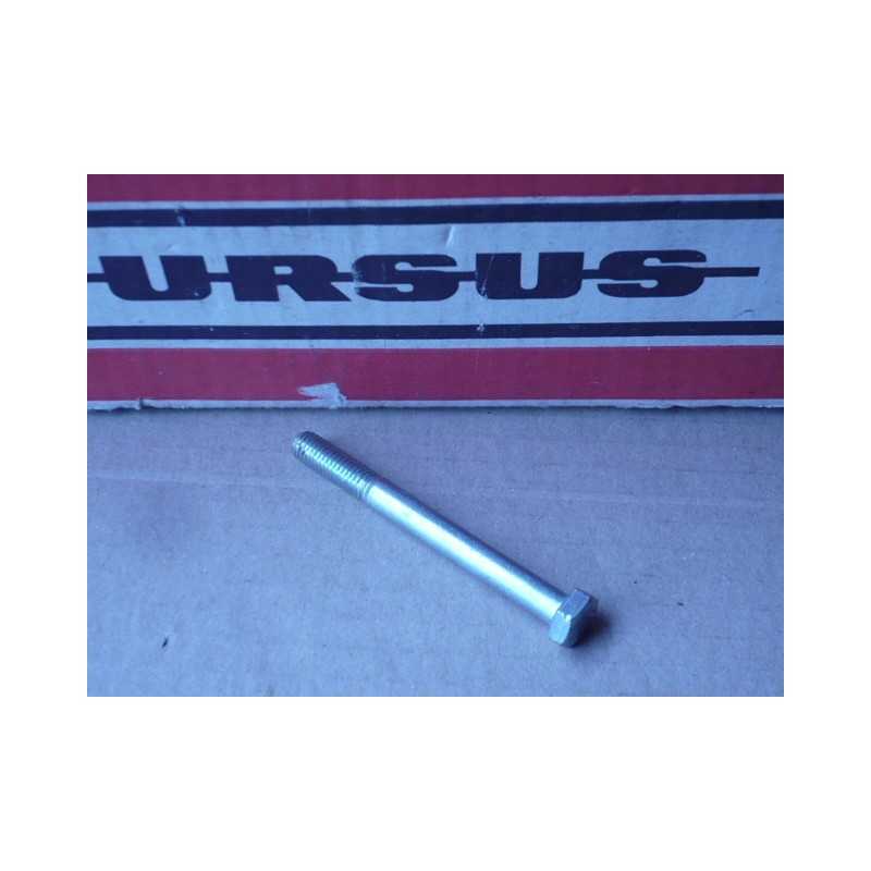 Kuro filtro varžtas m8x85 f50 35 1 96800091 2vnt