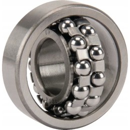 Savaime išsilyginantis rutulinis guolis 20x47x14 mm gopart