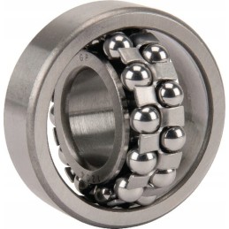 Savaime išsilyginantis rutulinis guolis 20x47x14 mm gopart