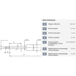 Dujinė spyruoklė l242 mm 100n stabilus ca049271