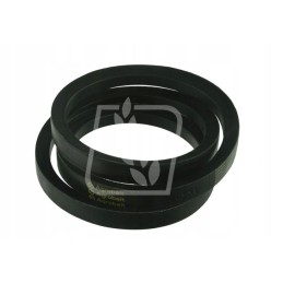 Juosta 418209m1 22x1625