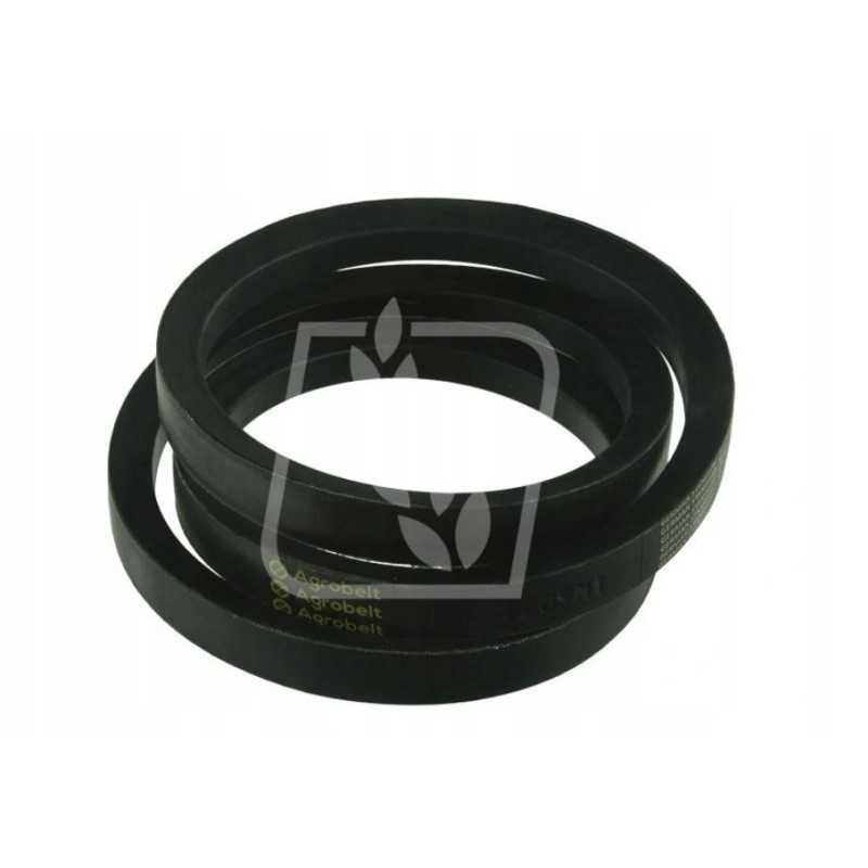 Juosta 418209m1 22x1625