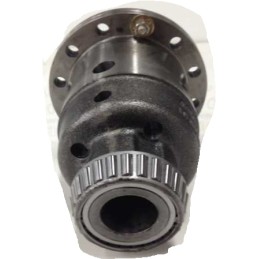 John Deere R271381 diferencialo korpusas