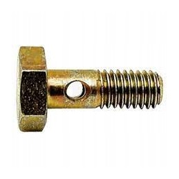 Drazon varžtas m6x1 l 17 374205001