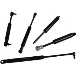 Dujinė spyruoklė l425 mm 300n stabilus ca052299