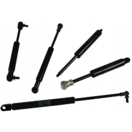 Dujinė spyruoklė l200 mm 260n stabilus ca9678nw