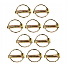 Sijos kaištis 10 mm kaištis 10 vnt