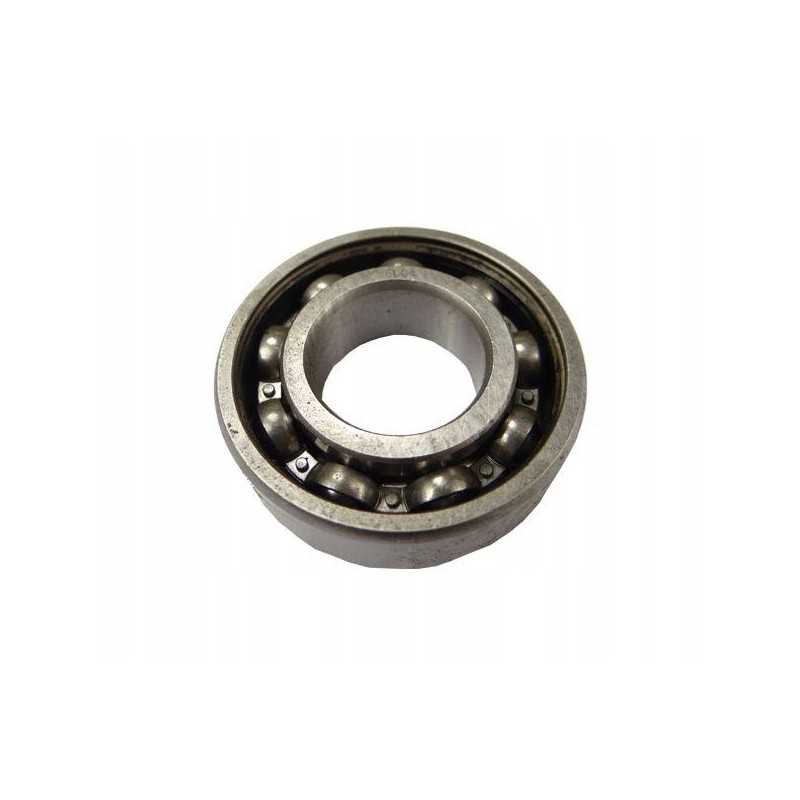 Guolis 6004 parduodamas po 10 vnt