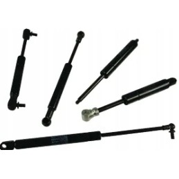 Dujinė spyruoklė l256 mm 250n stabilus ca132624